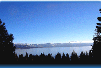 Tanager realty